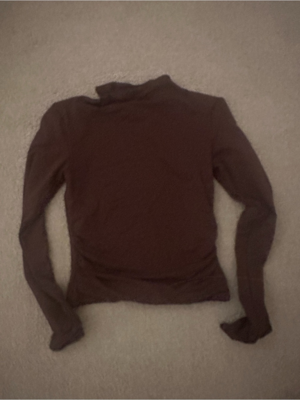Aritzia Long Sleeve Tee in Brown